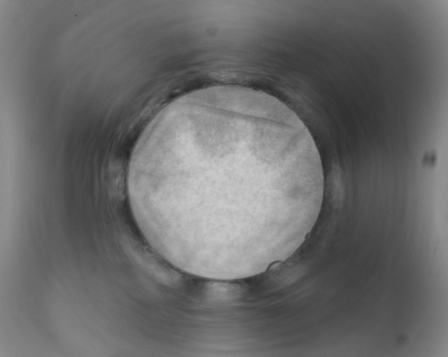 X0000111790234200909031205