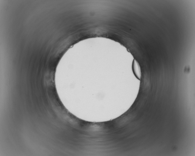 X0000111790236200909031205