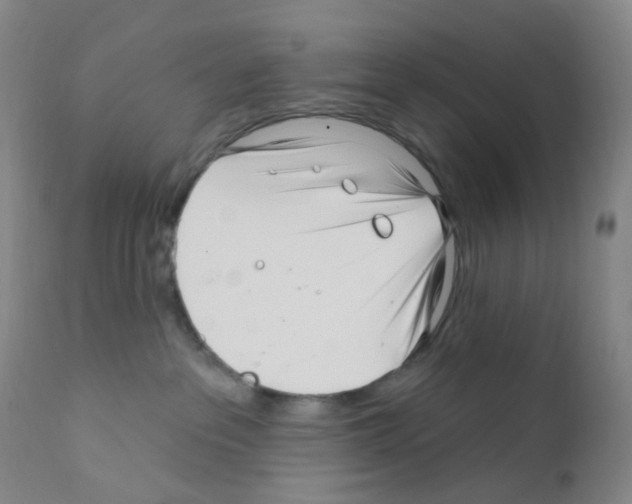 X0000111790237200909031205