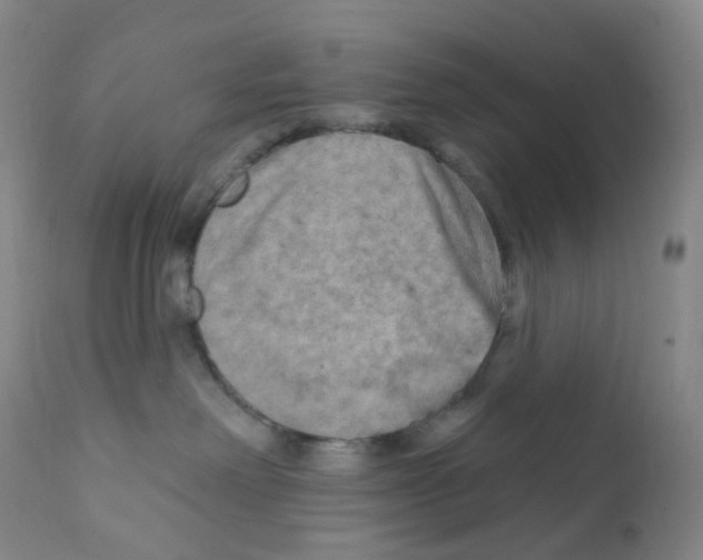 X0000111790238200909031205