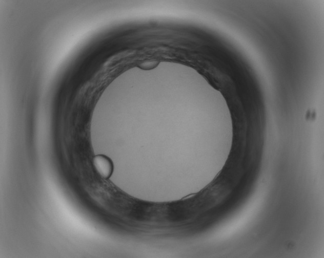 X0000111790239200909031205