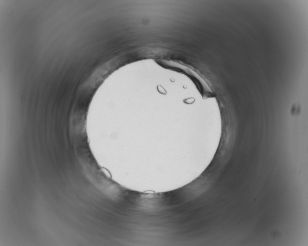 X0000111790240200909031205