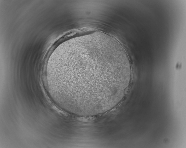 X0000111790241200909031204