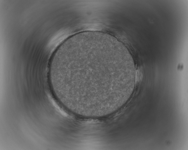 X0000111790243200909031204