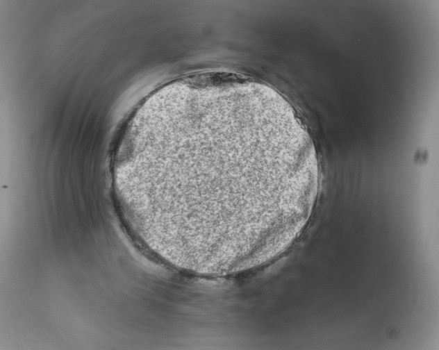 X0000111790245200909031204