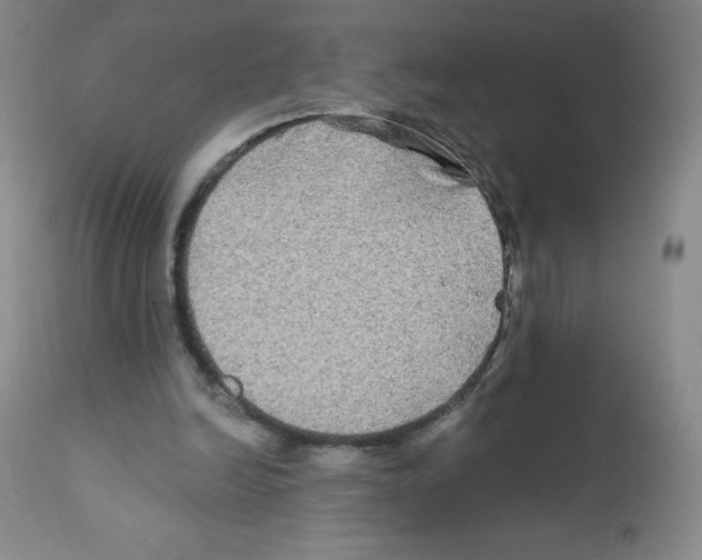 X0000111790246200909031204