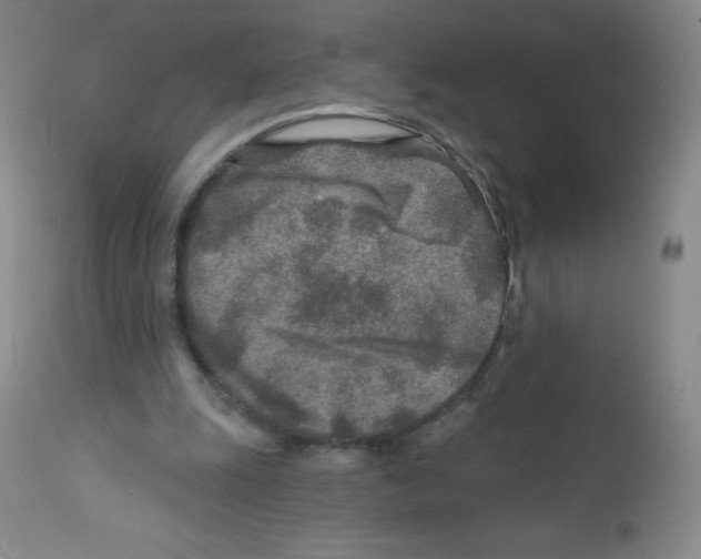 X0000111790247200909031204