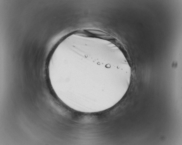 X0000111790248200909031204