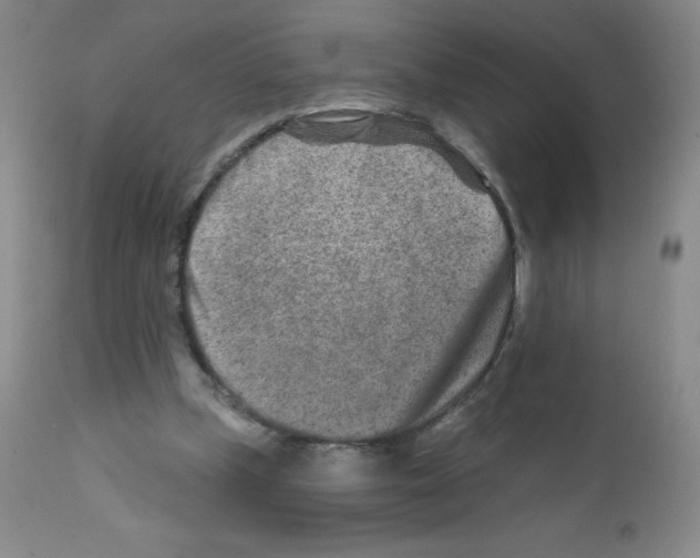 X0000111790249200909031204