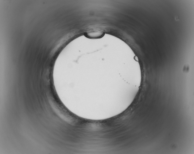 X0000111790250200909031204