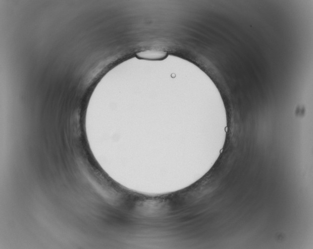 X0000111790251200909031204