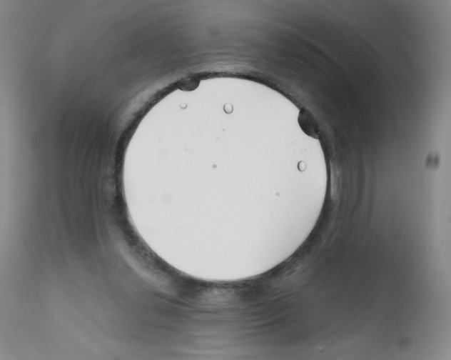 X0000111790252200909031204