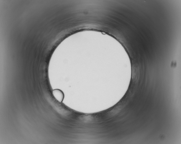 X0000111790253200909031204