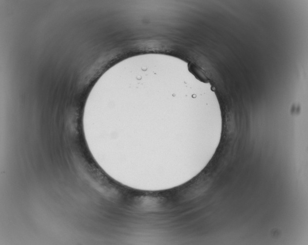 X0000111790255200909031205