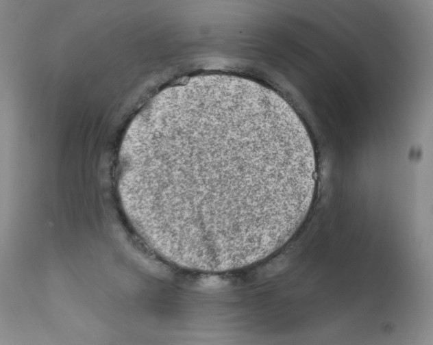 X0000111790257200909031205