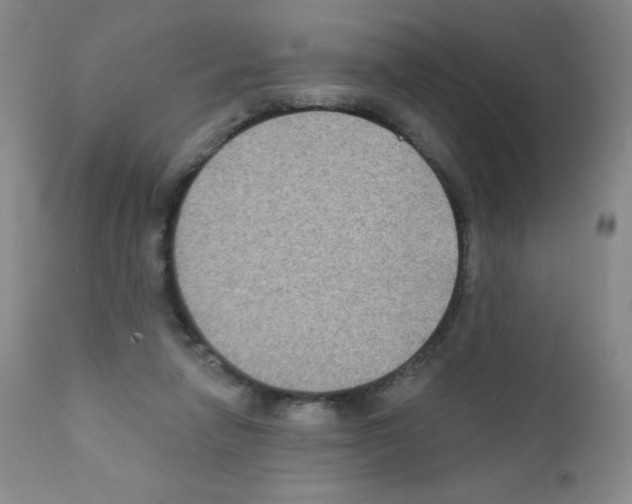 X0000111790258200909031205