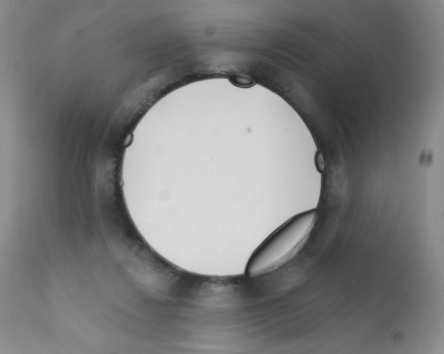 X0000111790260200909031205