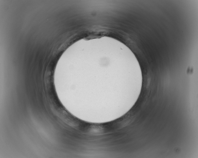 X0000111790263200909031205