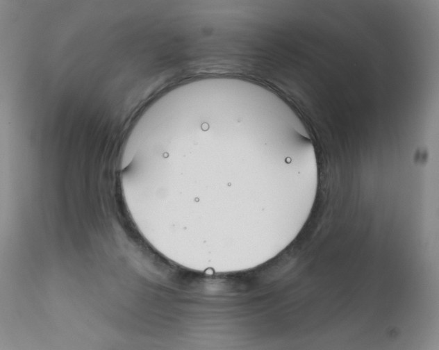 X0000111790264200909031205