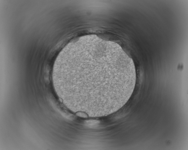 X0000111790266200909031205