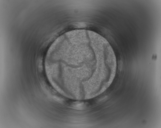 X0000111790267200909031205