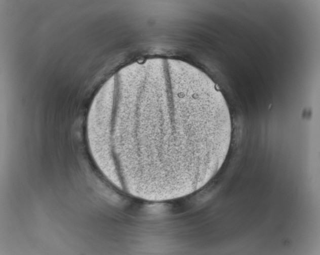 X0000111790269200909031205