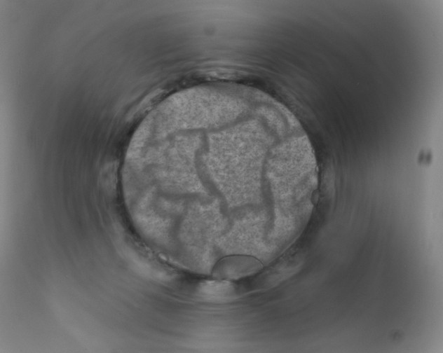 X0000111790271200909031205