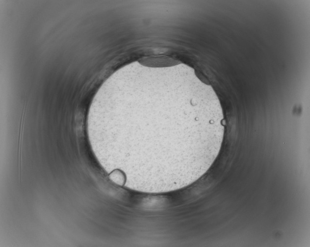 X0000111790274200909031205