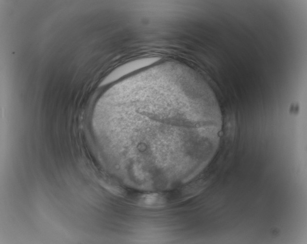 X0000111790275200909031205