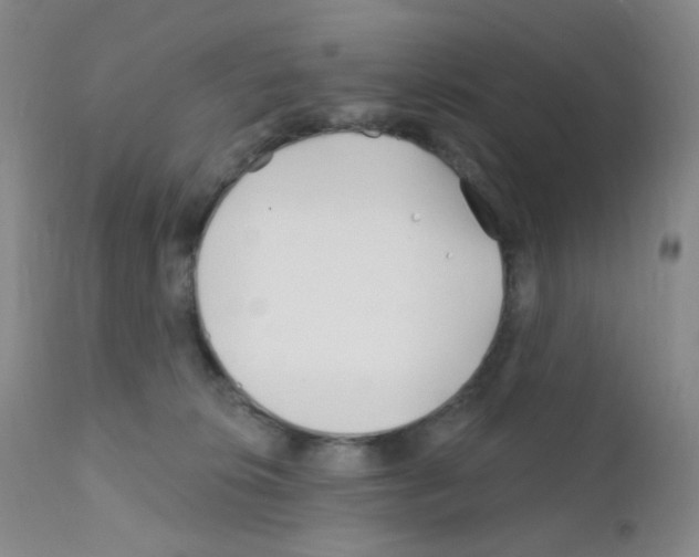 X0000111790276200909031205