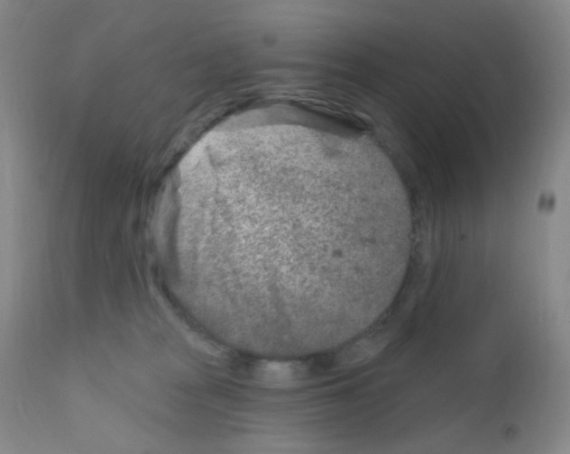 X0000111790277200909031205