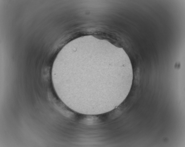 X0000111790278200909031205