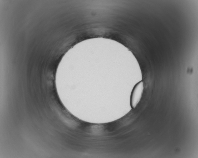 X0000111790279200909031205