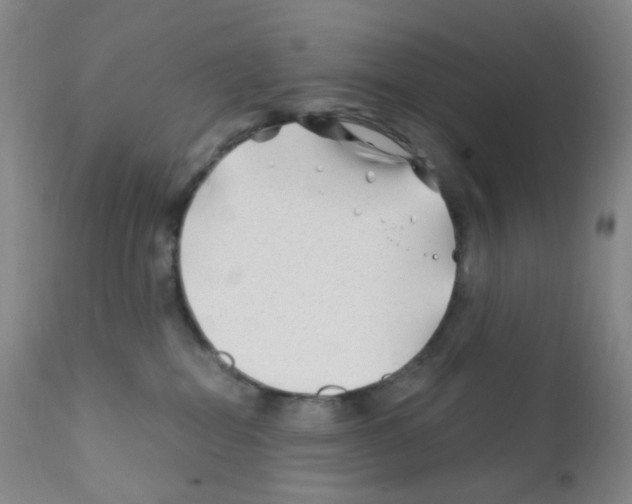 X0000111790282200909031205