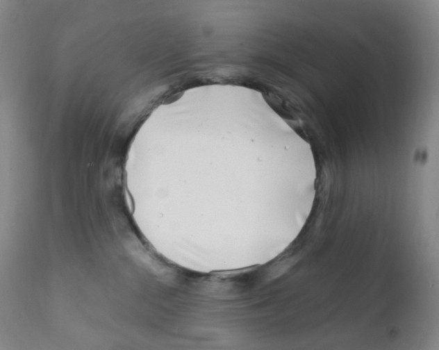 X0000111790284200909031205