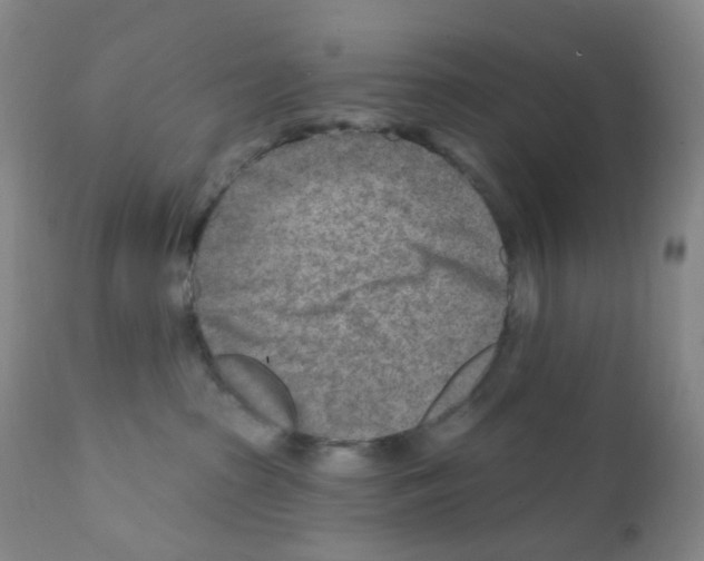 X0000111790285200909031205