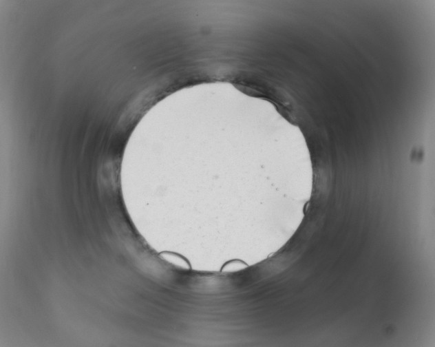 X0000111790286200909031205