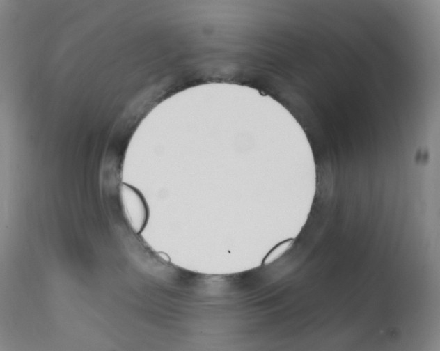 X0000111790287200909031205