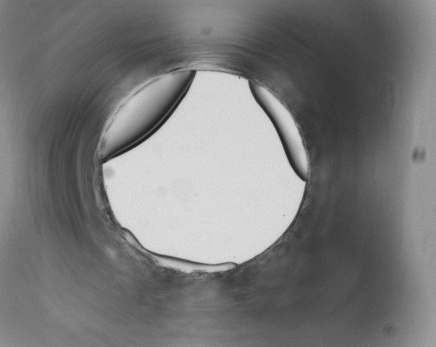 X0000111790289200909031204