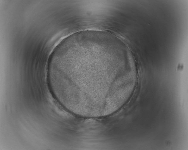 X0000111790290200909031204