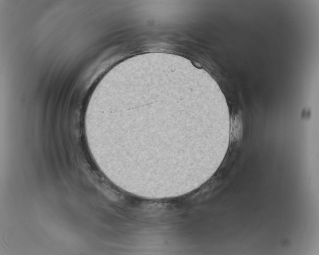 X0000111790291200909031204