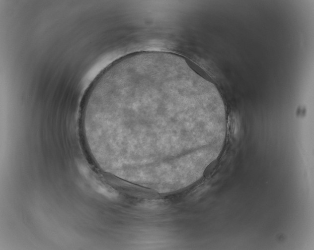 X0000111790292200909031204