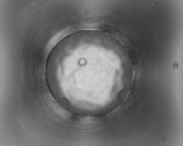 X0000111790293200909031204