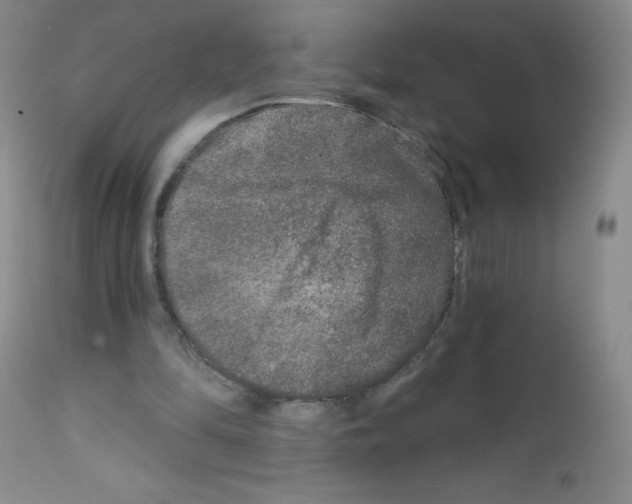 X0000111790294200909031204