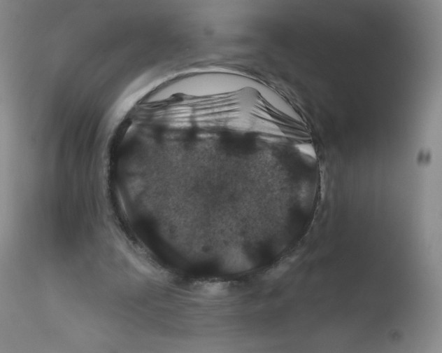 X0000111790295200909031204