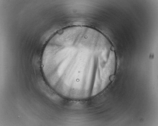 X0000111790297200909031204