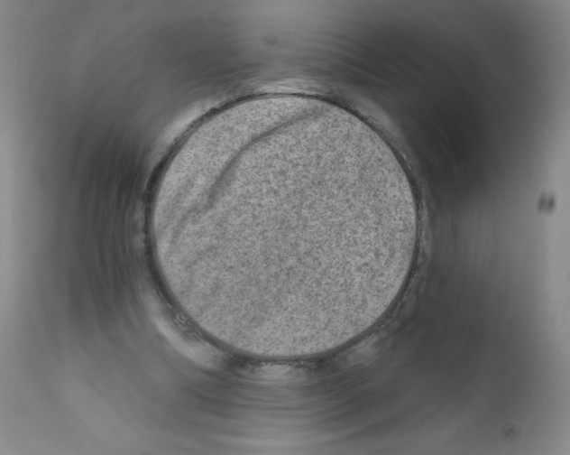 X0000111790298200909031204