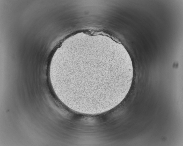 X0000111790299200909031204