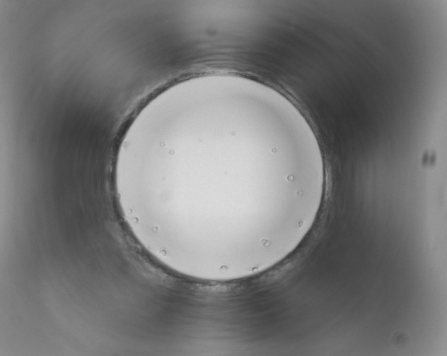 X0000111790301200909031204