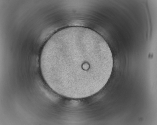 X0000111790302200909031204